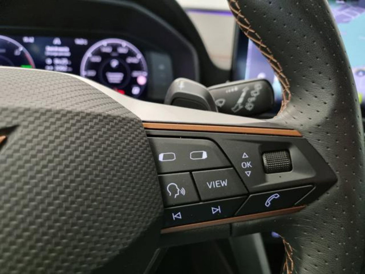 Cupra Formentor Formentor 2.0 tdi 4drive 150cv dsg (16)