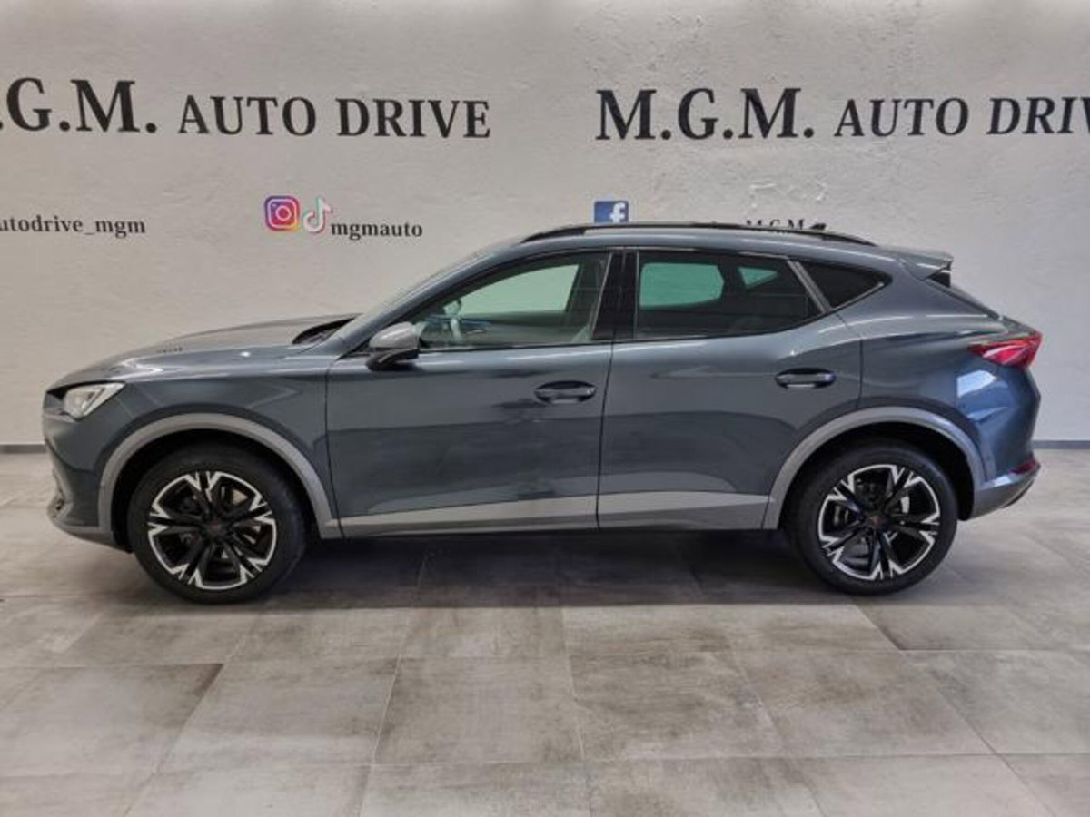 Cupra Formentor Formentor 2.0 tdi 4drive 150cv dsg (2)