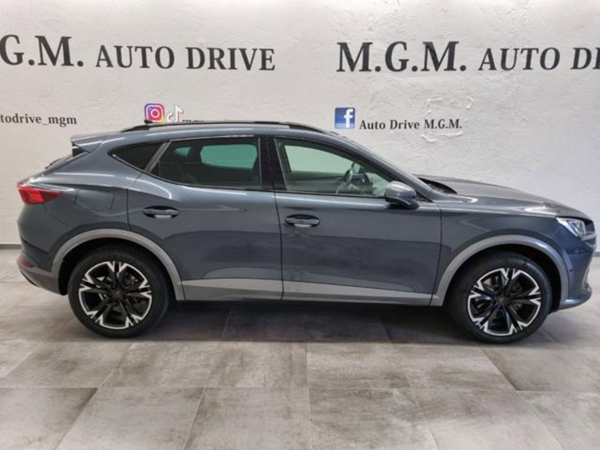Cupra Formentor Formentor 2.0 tdi 4drive 150cv dsg (4)