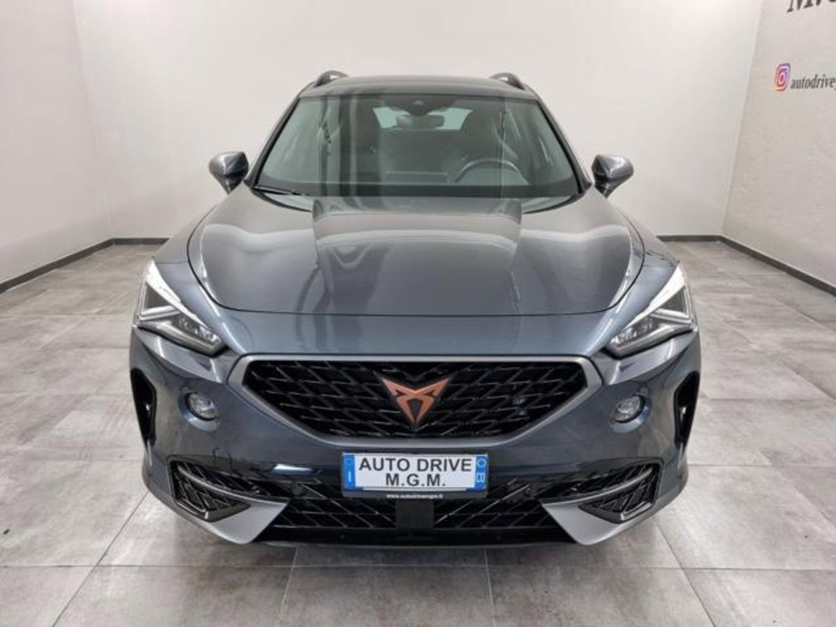 Cupra Formentor Formentor 2.0 tdi 4drive 150cv dsg (5)