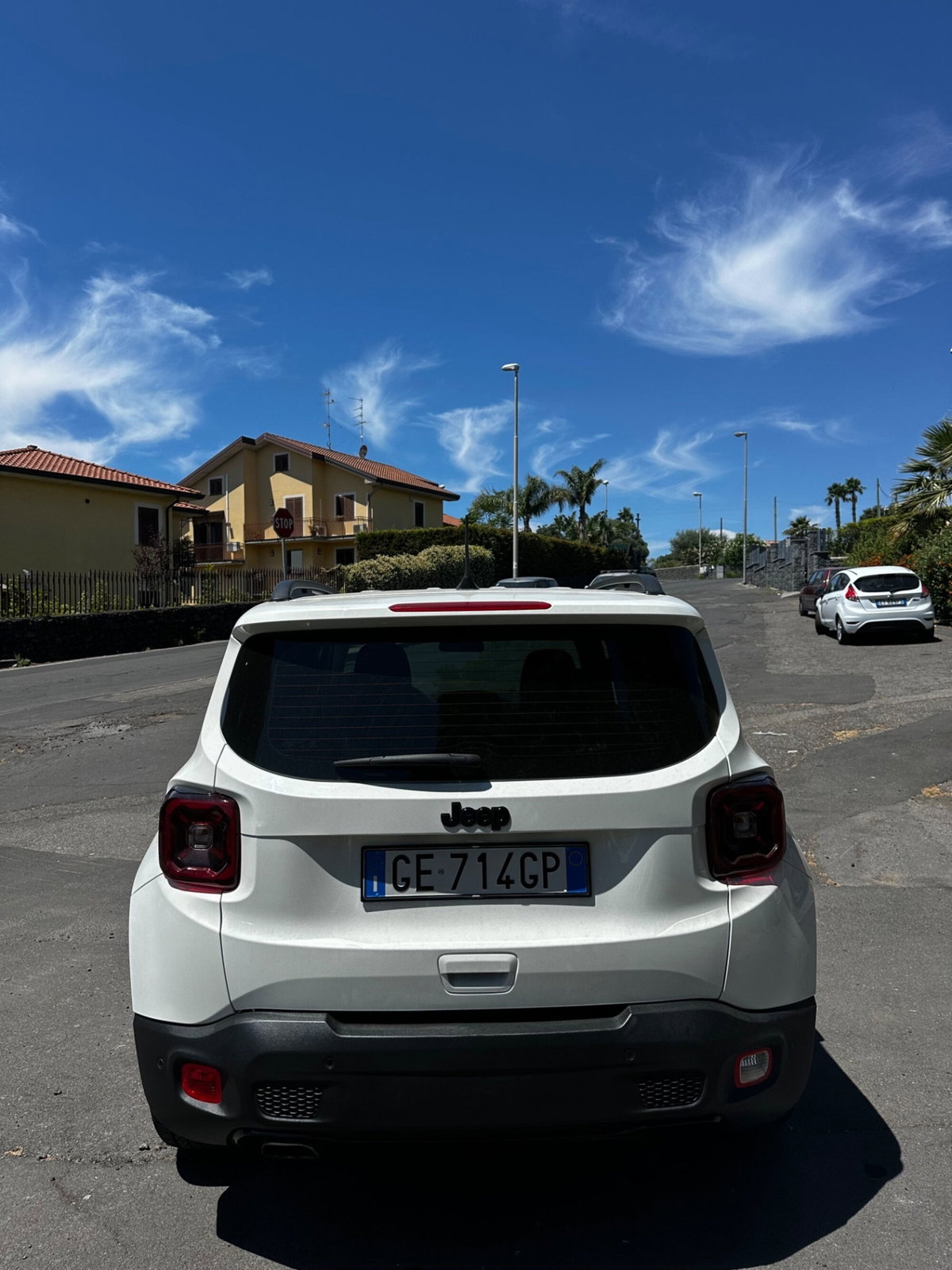 Jeep Renegade 1.6 Mjt 120 CV Limited (2)