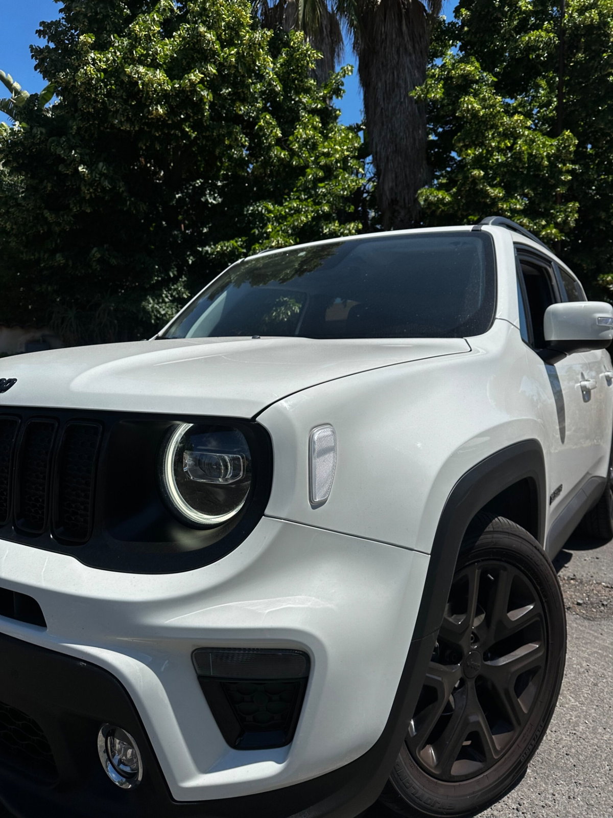Jeep Renegade 1.6 Mjt 120 CV Limited (4)
