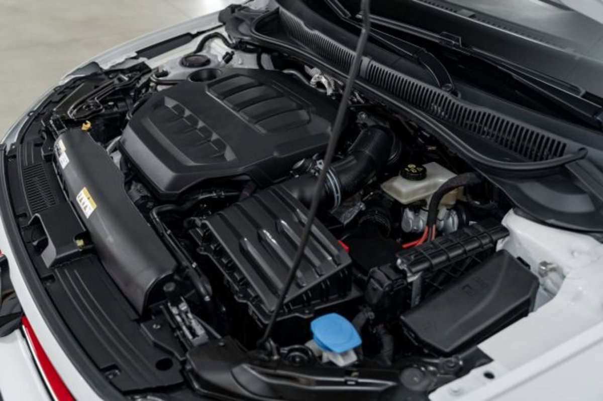 Volkswagen Polo 2.0 tsi GTI dsg (11)