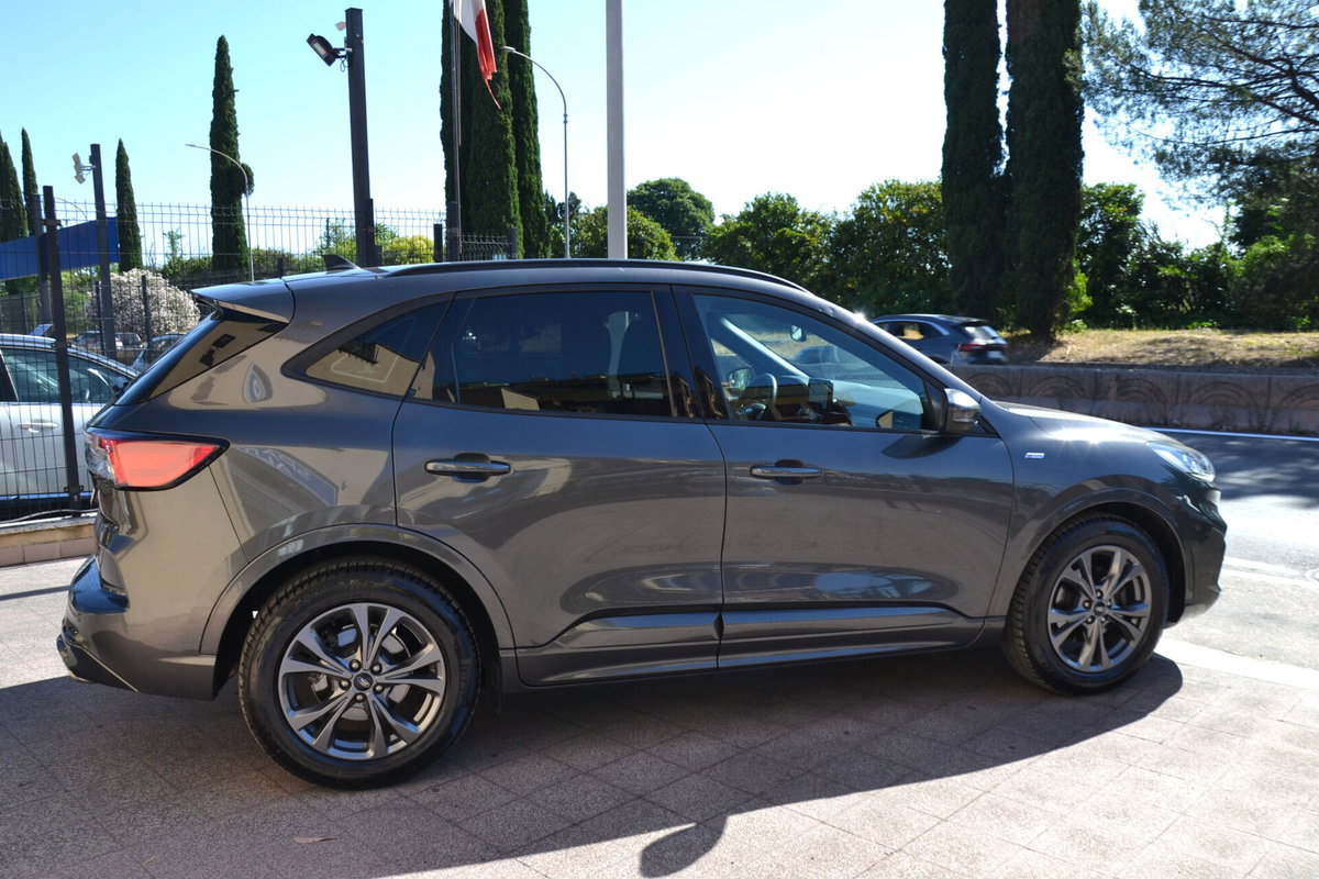 Ford Kuga 1.5 EcoBlue 120 CV 2WD ST-Line (13)