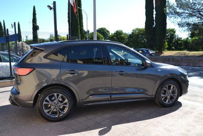 Ford Kuga 1.5 EcoBlue 120 CV 2WD ST-Line (13)