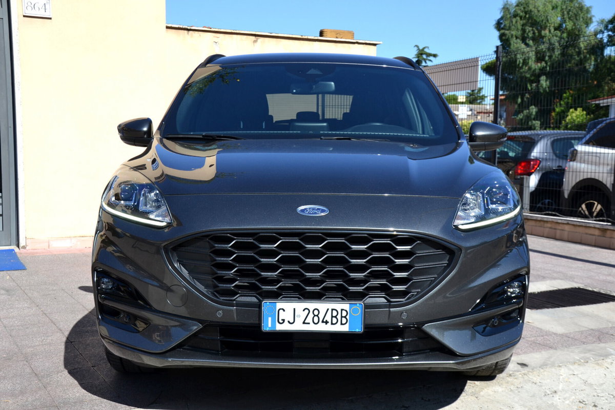 Ford Kuga 1.5 EcoBlue 120 CV 2WD ST-Line (14)