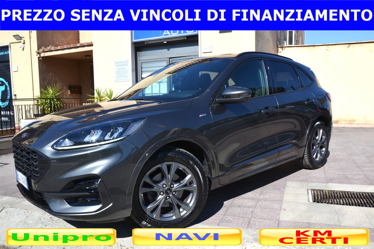 Ford Kuga 1.5 EcoBlue 120 CV 2WD ST-Line (2)