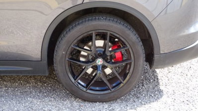 Alfa Romeo Stelvio Stelvio 2.0 Turbo 280 CV AT8 Q4 Estrema (17)