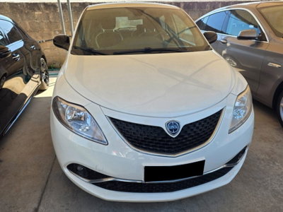 Lancia Ypsilon 1.2 69 CV 5 porte Gold (2)