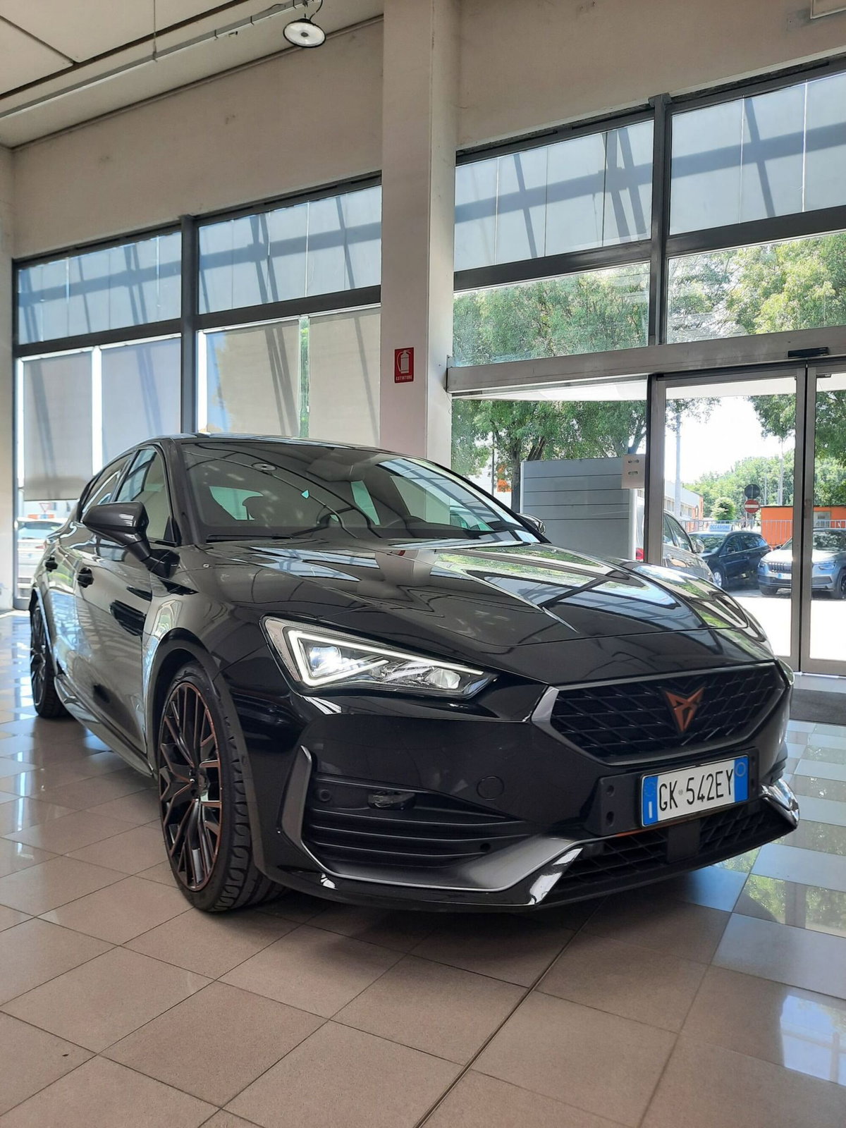 Cupra Leon Leon 2.0 TSI 245 CV DSG (3)
