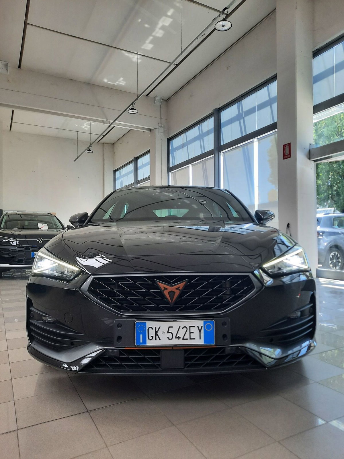 Cupra Leon Leon 2.0 TSI 245 CV DSG (4)