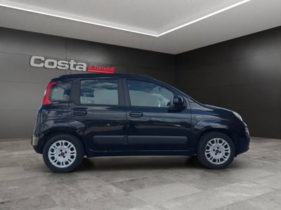 Fiat Panda 1.2 Easy (8)
