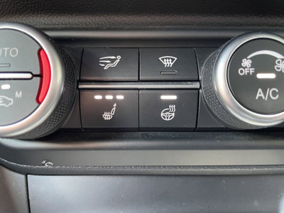 Alfa Romeo Stelvio Stelvio 2.2 Turbodiesel 210 CV AT8 Q4 Executive (13)