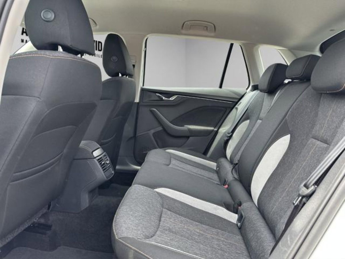 Skoda Kamiq 1.0 TSI 110 CV DSG Style (13)