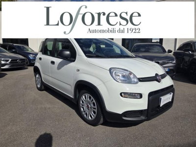 Fiat Panda 1.0 firefly hybrid s&s 70cv 5p.ti usata