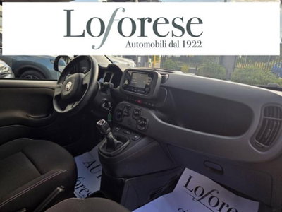 Fiat Panda 1.0 firefly hybrid s&s 70cv 5p.ti (10)