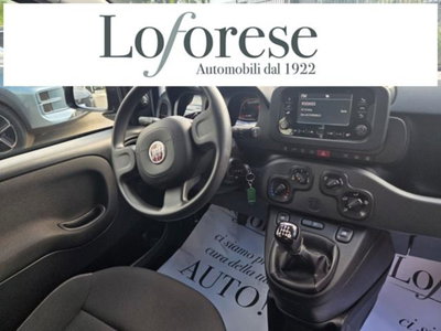 Fiat Panda 1.0 firefly hybrid s&s 70cv 5p.ti (11)