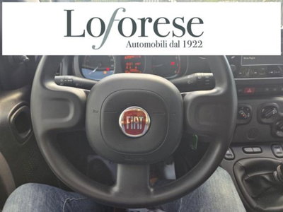 Fiat Panda 1.0 firefly hybrid s&s 70cv 5p.ti (12)