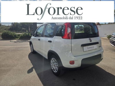 Fiat Panda 1.0 firefly hybrid s&s 70cv 5p.ti (3)