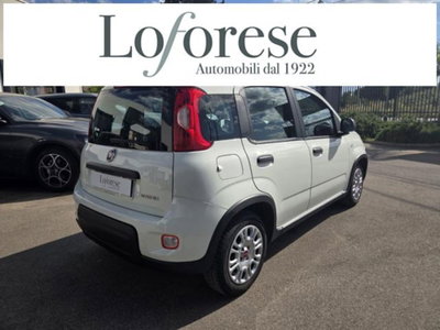 Fiat Panda 1.0 firefly hybrid s&s 70cv 5p.ti (4)