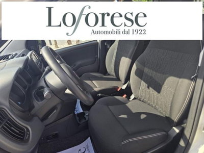 Fiat Panda 1.0 firefly hybrid s&s 70cv 5p.ti (6)
