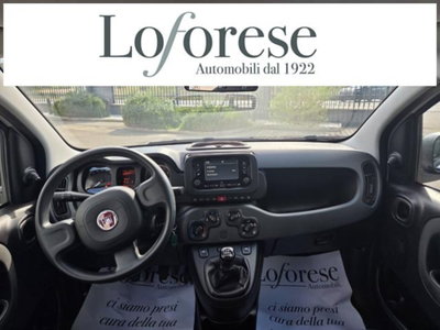 Fiat Panda 1.0 firefly hybrid s&s 70cv 5p.ti (8)