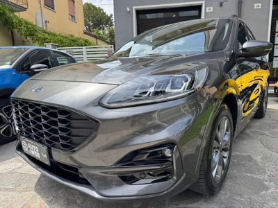 Ford Kuga 1.5 EcoBlue 120 CV aut. 2WD ST-Line X Design (2)