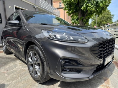 Ford Kuga 1.5 EcoBlue 120 CV aut. 2WD ST-Line X Design (3)