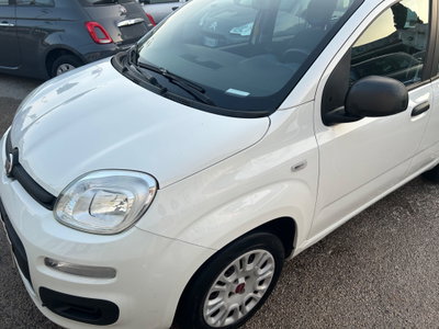 Fiat Panda 1.2 Easy (16)