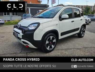 Fiat Panda Cross Cross 1.0 FireFly S&S Hybrid usata