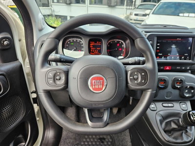 Fiat Panda Cross Cross 1.0 FireFly S&S Hybrid (14)