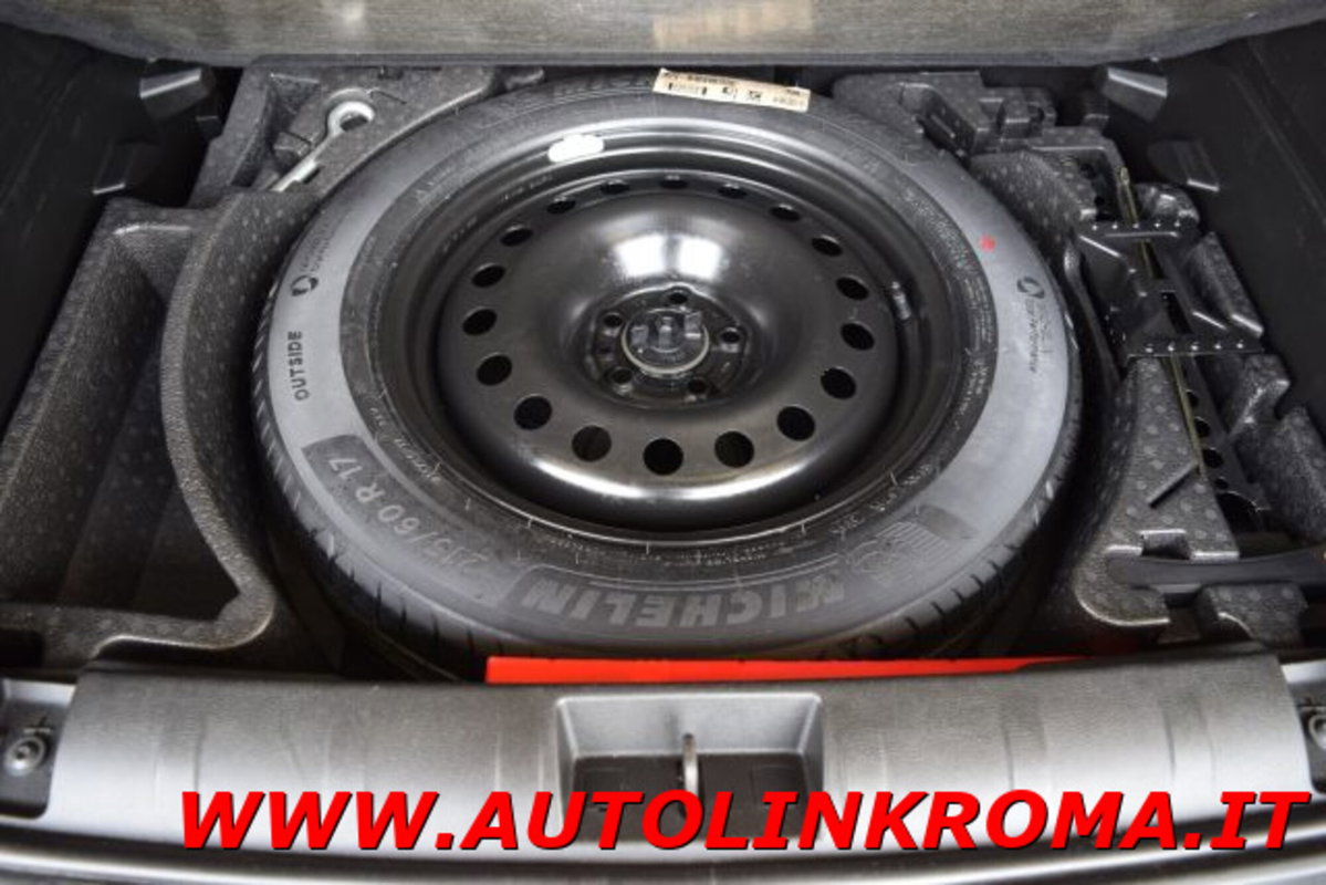 Jeep Renegade 1.3 T4 DDCT Limited (13)