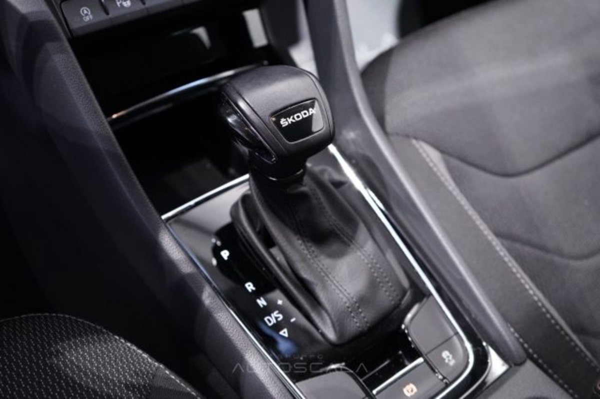 Skoda Kodiaq 2.0 TDI EVO SCR 4x4 DSG 7 posti Executive (16)