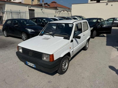 Fiat Panda 900 i.e. cat Young