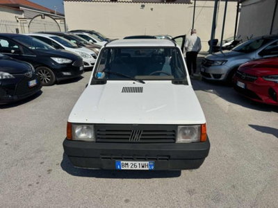Fiat Panda 900 i.e. cat Young (10)