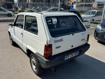 Fiat Panda 900 i.e. cat Young (6)