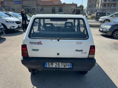Fiat Panda 900 i.e. cat Young (7)