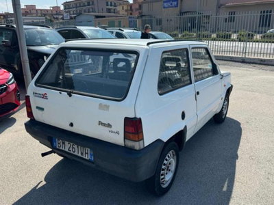 Fiat Panda 900 i.e. cat Young (8)