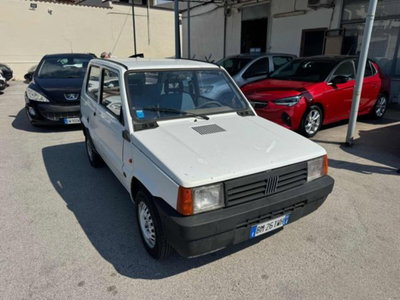 Fiat Panda 900 i.e. cat Young (9)