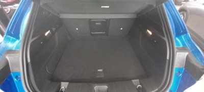 Alfa Romeo Tonale 1.6 Sprint 130cv tct6 (9)