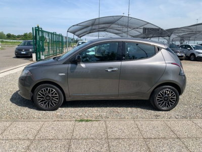 Lancia Ypsilon 1.2 69 CV 5 porte Platinum (8)