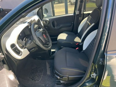 Fiat Panda Cross Cross 1.0 FireFly S&S Hybrid (5)