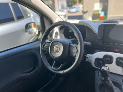 Fiat Panda Cross Cross 1.0 FireFly S&S Hybrid (9)