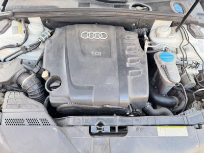 Audi A4 Avant 2.0 TDI 143CV F.AP. mult. Ambiente (19)