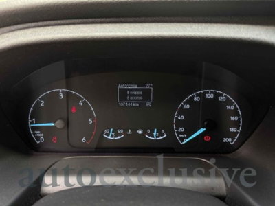 Ford Transit Custom Furgone 260 2.0 EcoBlue PC Furgone Entry (14)
