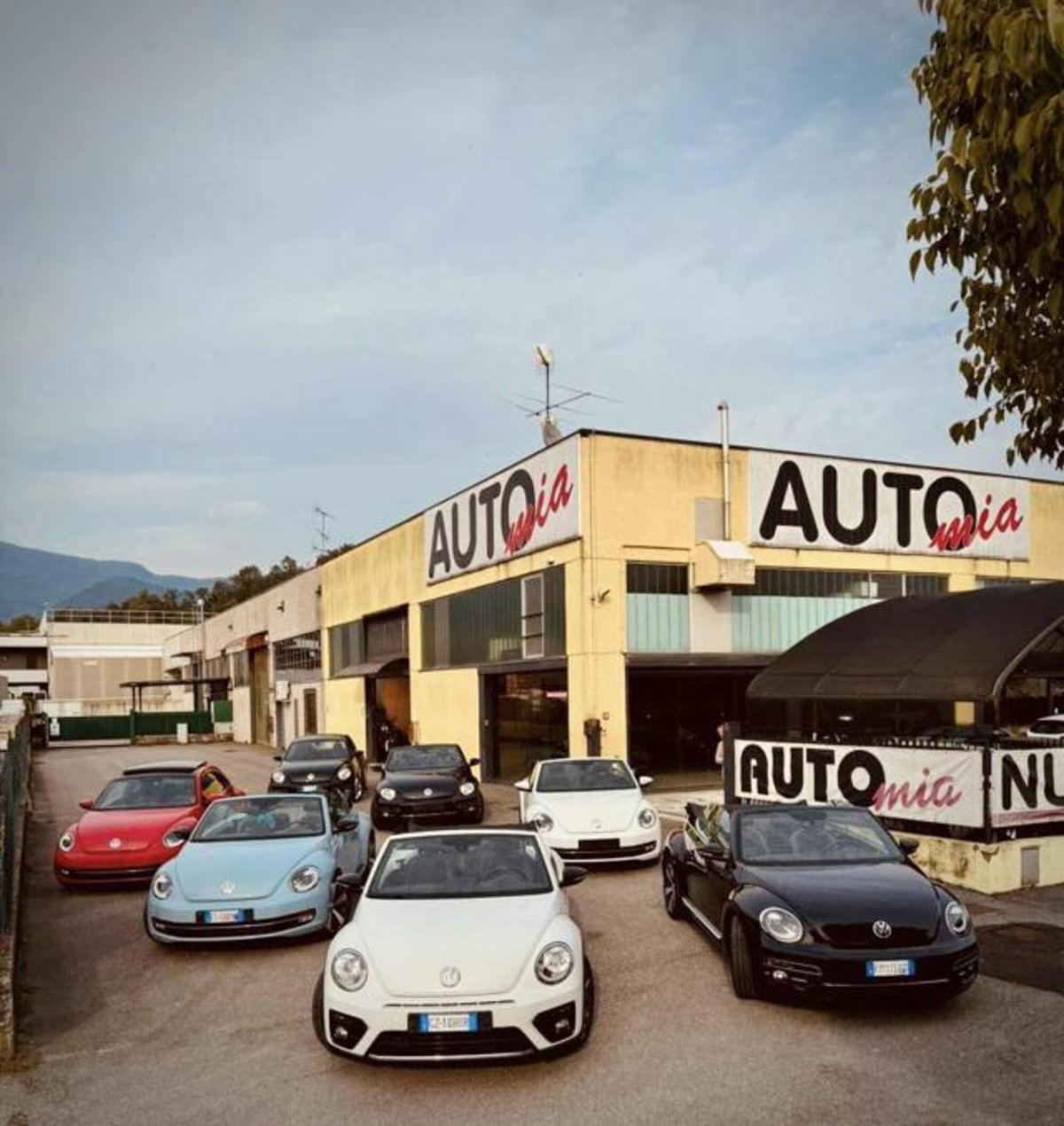 Volkswagen Maggiolino Cabrio 2.0 TDI DSG 150 CV Sport BlueMot. Tech. (17)