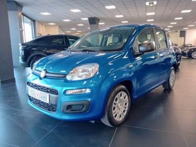 Fiat Panda 1.0 firefly hybrid s&s 70cv 5p.ti nuova