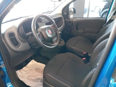 Fiat Panda 1.0 firefly hybrid s&s 70cv 5p.ti (10)