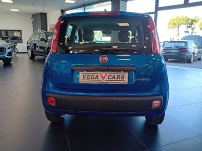 Fiat Panda 1.0 firefly hybrid s&s 70cv 5p.ti (5)