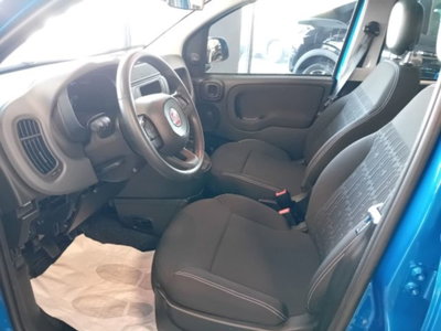 Fiat Panda 1.0 firefly hybrid s&s 70cv 5p.ti (7)